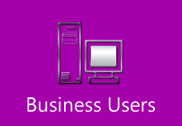 Business Users